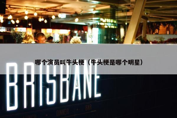 哪个演员叫牛头梗（牛头梗是哪个明星）