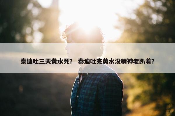 泰迪吐三天黄水死？ 泰迪吐完黄水没精神老趴着？