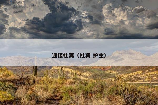 迎接杜宾（杜宾 护主）