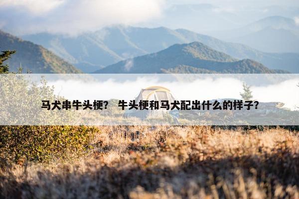 马犬串牛头梗？ 牛头梗和马犬配出什么的样子？
