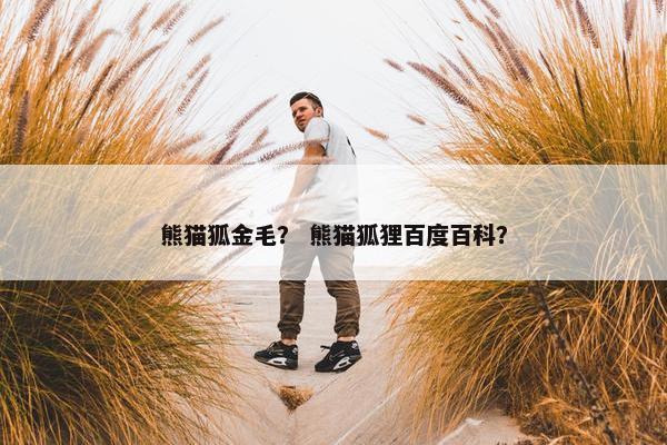 熊猫狐金毛？ 熊猫狐狸百度百科？
