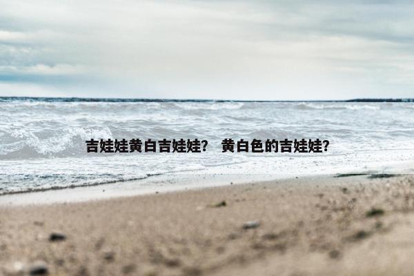 吉娃娃黄白吉娃娃？ 黄白色的吉娃娃？