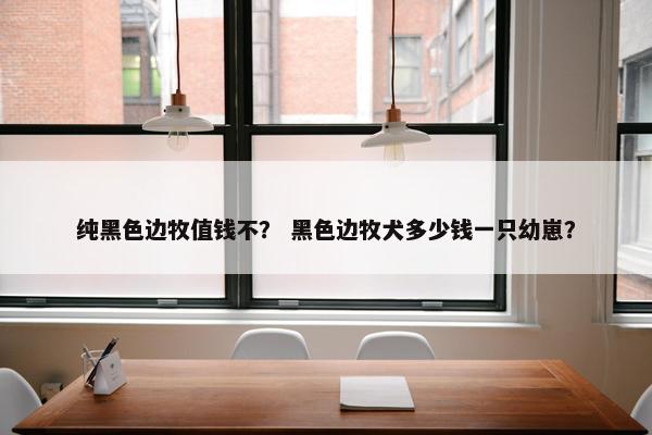 纯黑色边牧值钱不？ 黑色边牧犬多少钱一只幼崽？