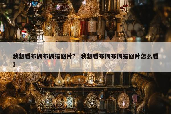 我想看布偶布偶猫图片？ 我想看布偶布偶猫图片怎么看？