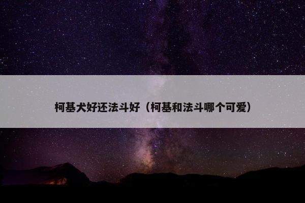 柯基犬好还法斗好（柯基和法斗哪个可爱）