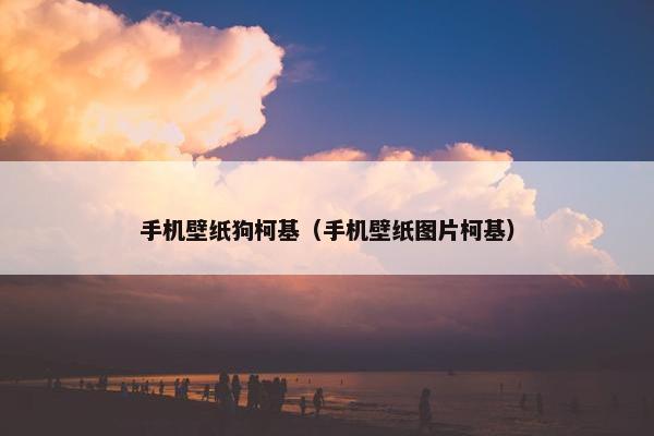 手机壁纸狗柯基（手机壁纸图片柯基）