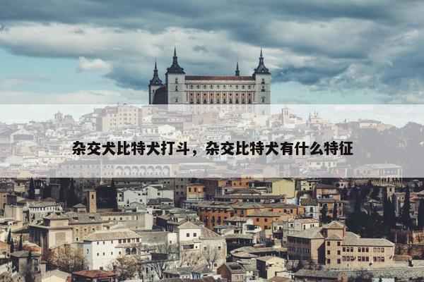 杂交犬比特犬打斗，杂交比特犬有什么特征