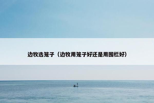 边牧选笼子（边牧用笼子好还是用围栏好）