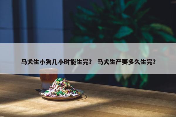 马犬生小狗几小时能生完？ 马犬生产要多久生完？