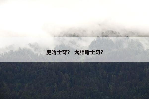 肥哈士奇？ 大胖哈士奇？