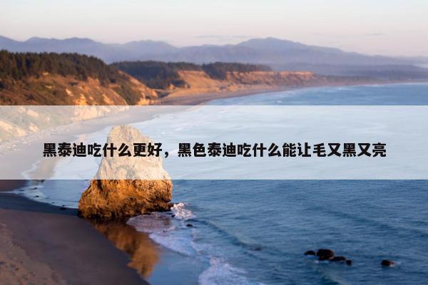 黑泰迪吃什么更好，黑色泰迪吃什么能让毛又黑又亮