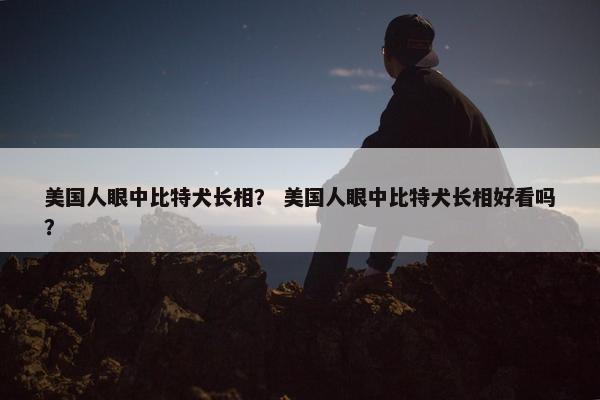 美国人眼中比特犬长相？ 美国人眼中比特犬长相好看吗？