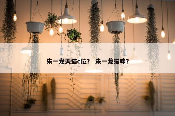 朱一龙天猫c位？ 朱一龙猫咪？
