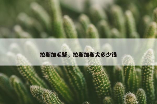 拉斯加毛蟹，拉斯加斯犬多少钱