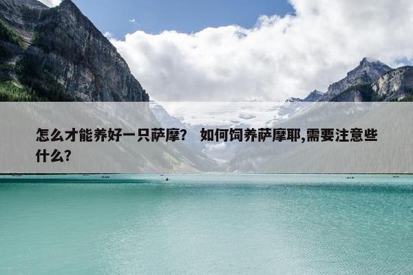 怎么才能养好一只萨摩？ 如何饲养萨摩耶,需要注意些什么？