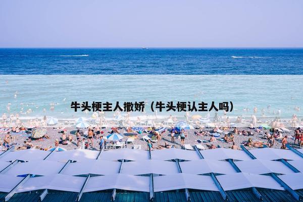 牛头梗主人撒娇（牛头梗认主人吗）