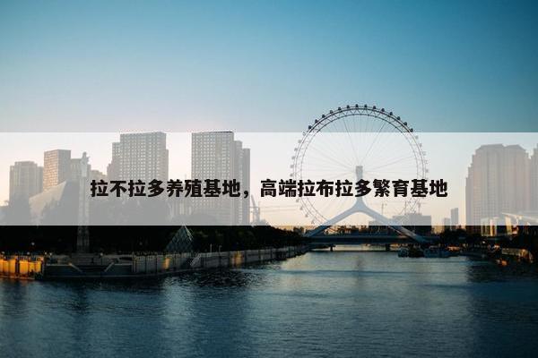 拉不拉多养殖基地，高端拉布拉多繁育基地