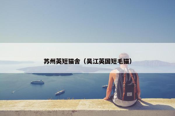 苏州英短猫舍（吴江英国短毛猫）