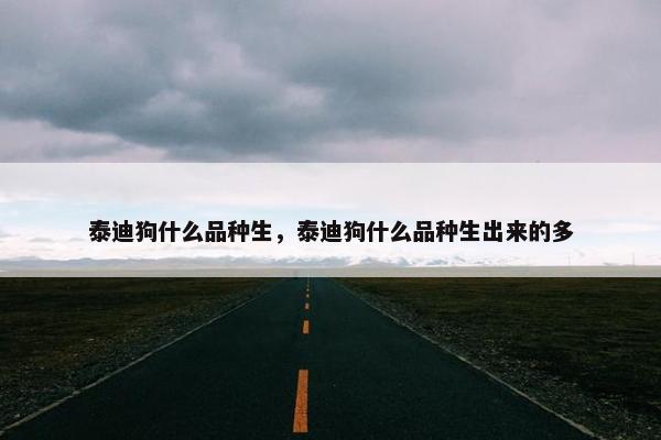 泰迪狗什么品种生，泰迪狗什么品种生出来的多