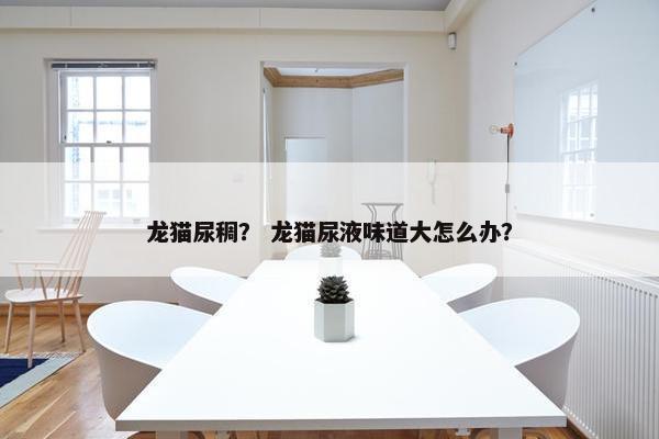 龙猫尿稠？ 龙猫尿液味道大怎么办？