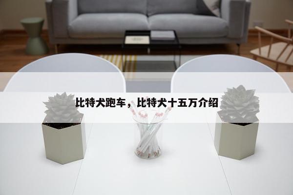 比特犬跑车，比特犬十五万介绍