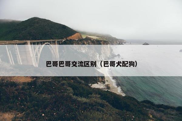 巴哥巴哥交流区别（巴哥犬配狗）