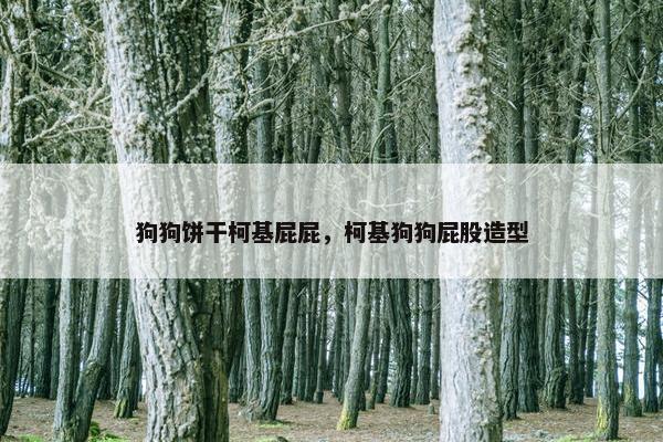 狗狗饼干柯基屁屁，柯基狗狗屁股造型