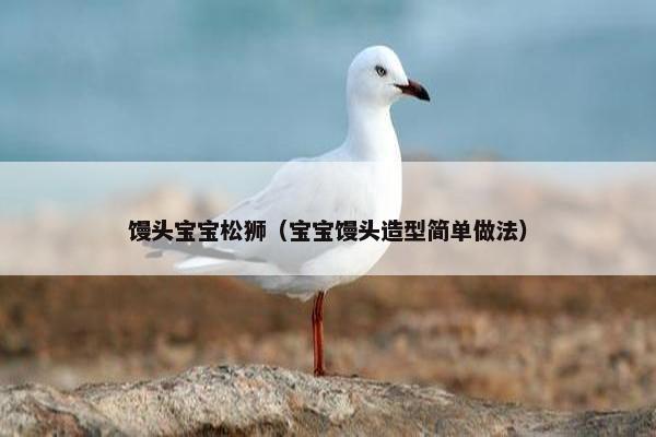 馒头宝宝松狮（宝宝馒头造型简单做法）