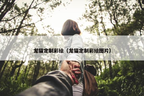 龙猫定制彩绘（龙猫定制彩绘图片）