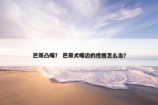 巴哥凸嘴？ 巴哥犬嘴边的疙瘩怎么治？