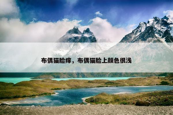 布偶猫脸痒，布偶猫脸上颜色很浅