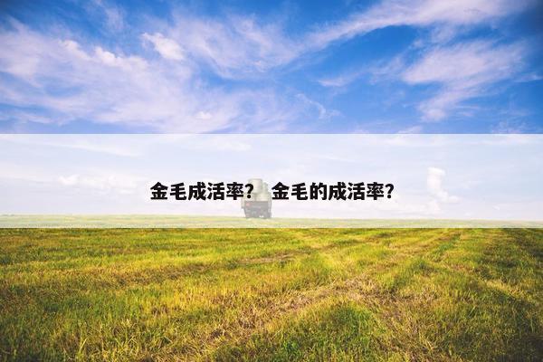 金毛成活率？ 金毛的成活率？