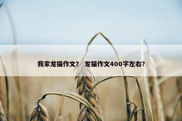 我家龙猫作文？ 龙猫作文400字左右？