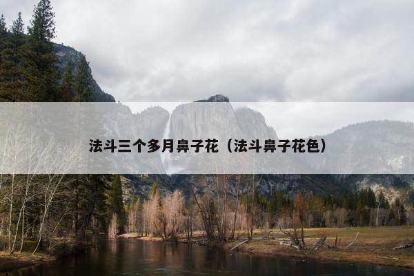 法斗三个多月鼻子花（法斗鼻子花色）