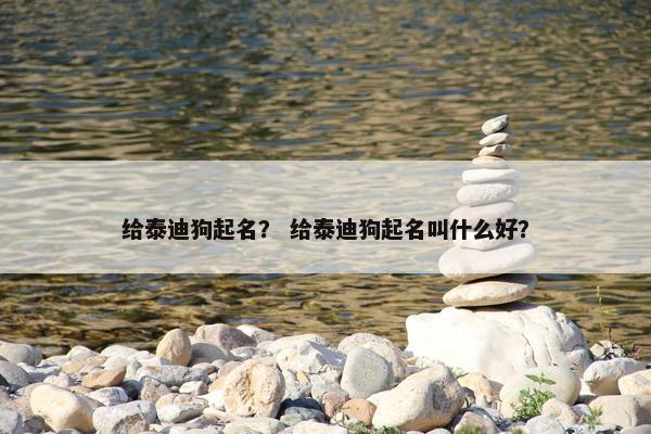 给泰迪狗起名？ 给泰迪狗起名叫什么好？