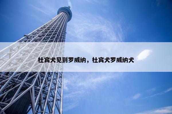 杜宾犬见到罗威纳，杜宾犬罗威纳犬