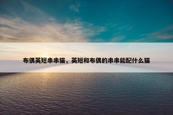 布偶英短串串猫，英短和布偶的串串能配什么猫