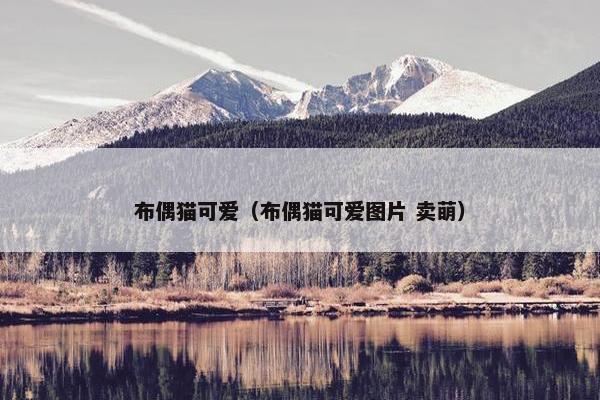 布偶猫可爱（布偶猫可爱图片 卖萌）