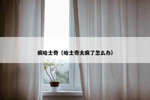疯哈士奇（哈士奇太疯了怎么办）
