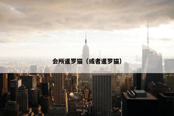 会所暹罗猫（或者暹罗猫）