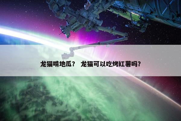 龙猫啃地瓜？ 龙猫可以吃烤红薯吗？