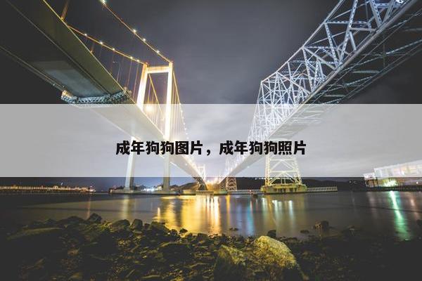 成年狗狗图片，成年狗狗照片