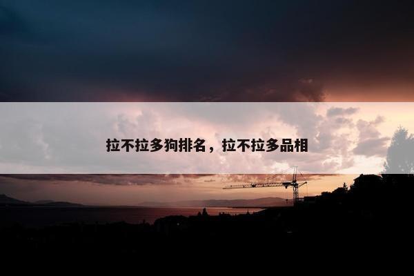 拉不拉多狗排名，拉不拉多品相
