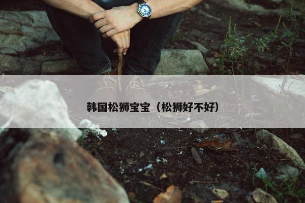 韩国松狮宝宝（松狮好不好）