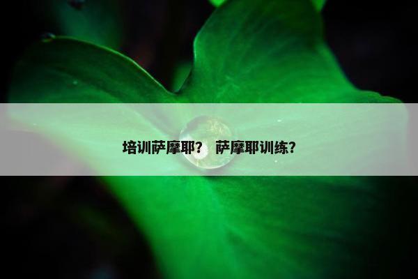 培训萨摩耶？ 萨摩耶训练？