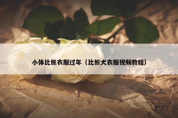 小体比熊衣服过年（比熊犬衣服视频教程）