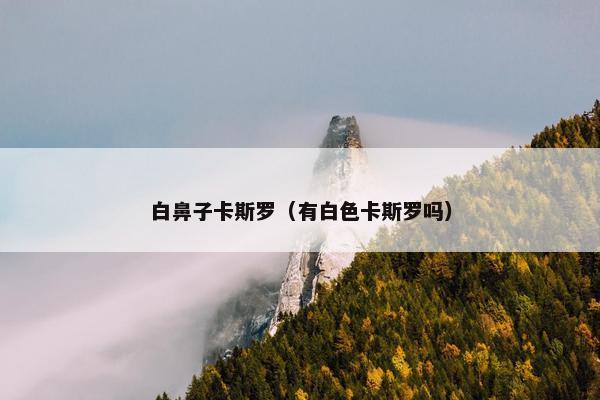 白鼻子卡斯罗（有白色卡斯罗吗）