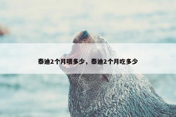 泰迪2个月喂多少，泰迪2个月吃多少