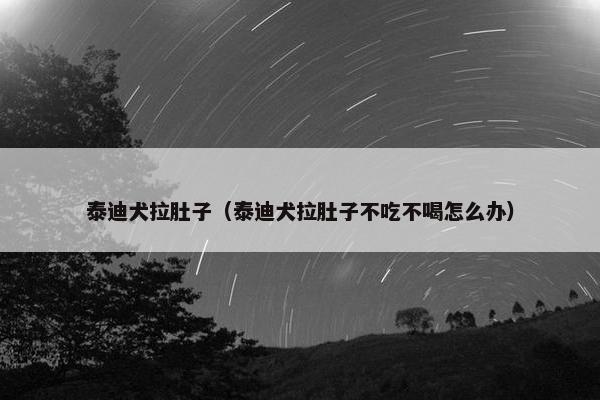 泰迪犬拉肚子（泰迪犬拉肚子不吃不喝怎么办）