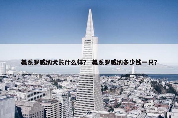 美系罗威纳犬长什么样？ 美系罗威纳多少钱一只？